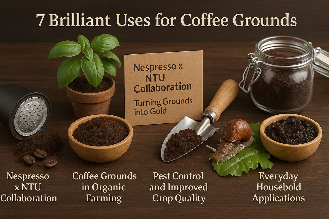 7 Brilliant Uses for Coffee Grounds