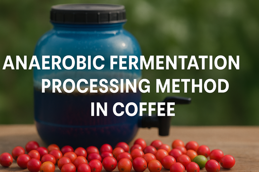 Anaerobic Fermentation Processing Method in Coffee