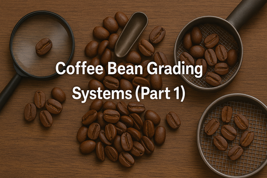 Coffee Bean Grading Systems (Part 1)
