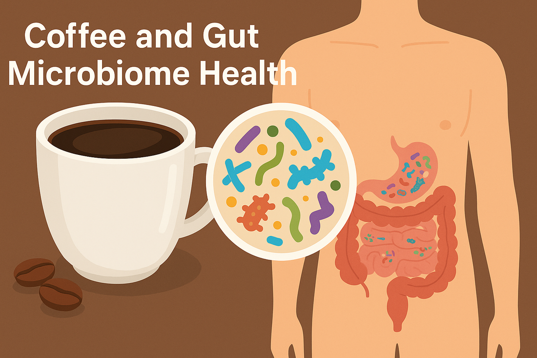 Coffee and Gut Microbiome Health