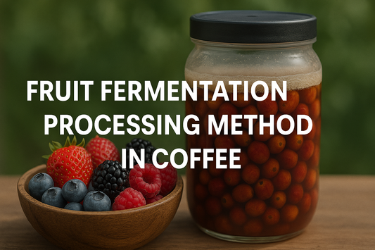 Fruit Fermentation Processing Method in Coffee