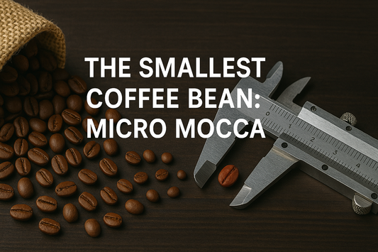 The Smallest Coffee Bean: Micro Mocca