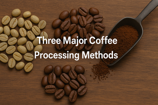Three Major Coffee Processing Methods