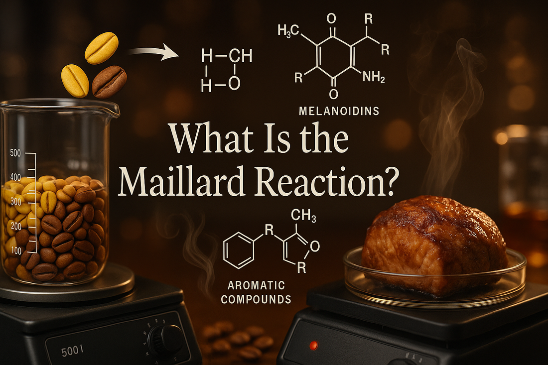 What Is the Maillard Reaction?