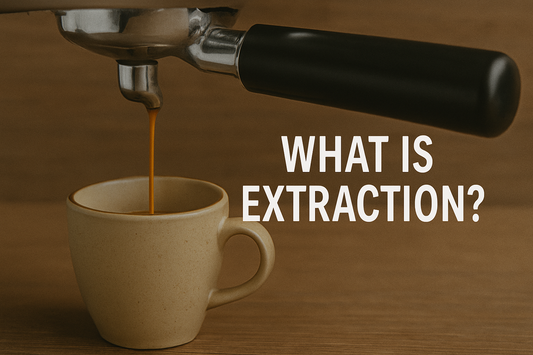 What is Extraction?