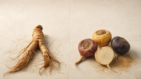 Editorial split still-life: a tan Panax ginseng root at left, colorful Peruvian maca tubers at right — two adaptogens compared.